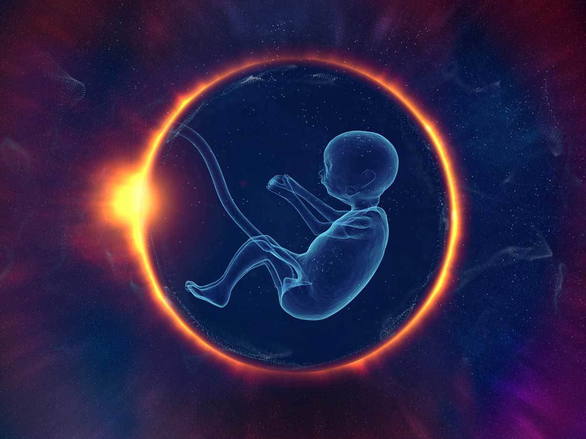 SpaceBorn United razvija način za začeće u svemiru SpaceBorn United razvija način za začeće u svemiru