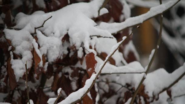  Drvar: Mrtva starica pronađena u snijegu 