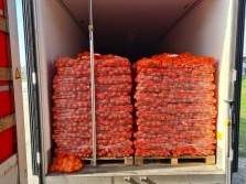  Inspekcija zabranila uvou šest tona sjemenskog krompira iz Holandije 