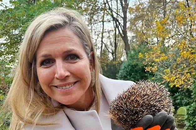 Hvataj.JPG Hvataj.JPG