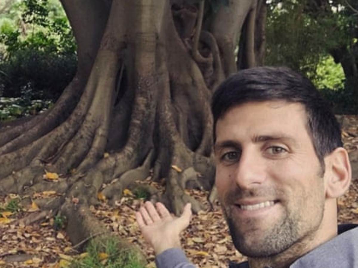  Novak Đoković posebno voli jedno drvo u Australiji 