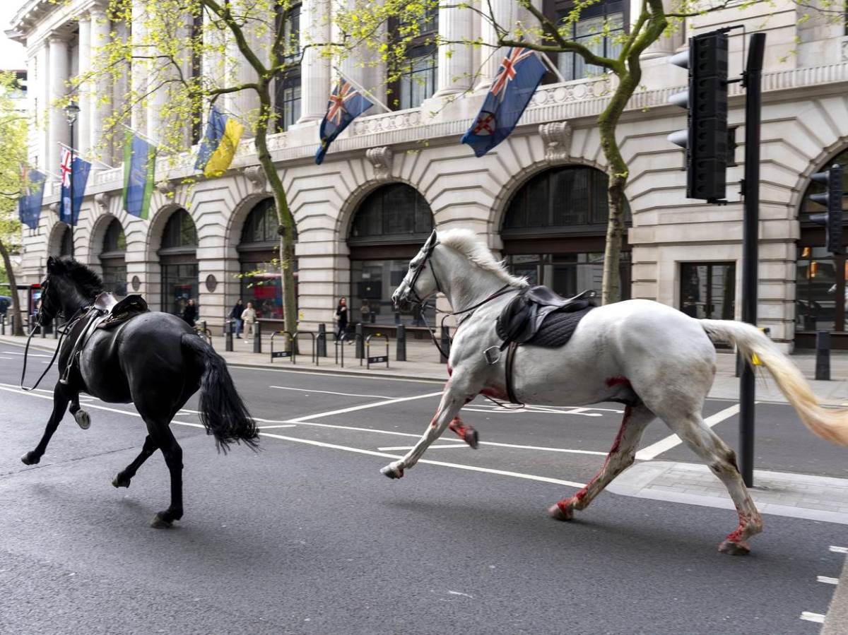  Odbjegli vojni konji u londonu 