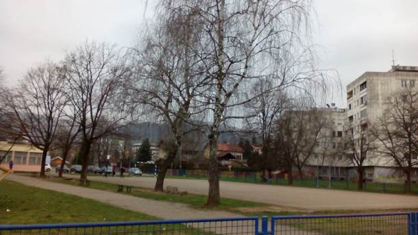  Banjaluka: Mrtva lisica u školskom dvorištu u Boriku 