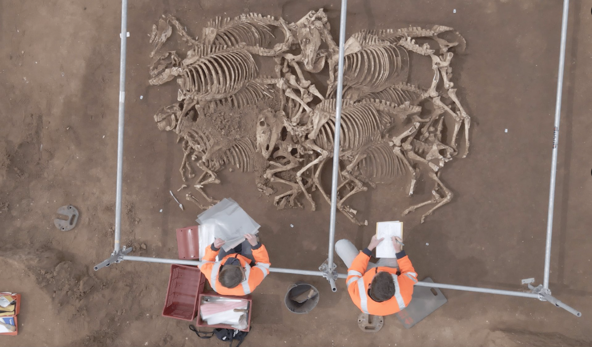  Pronađeni skeleti konja u Francuskoj 