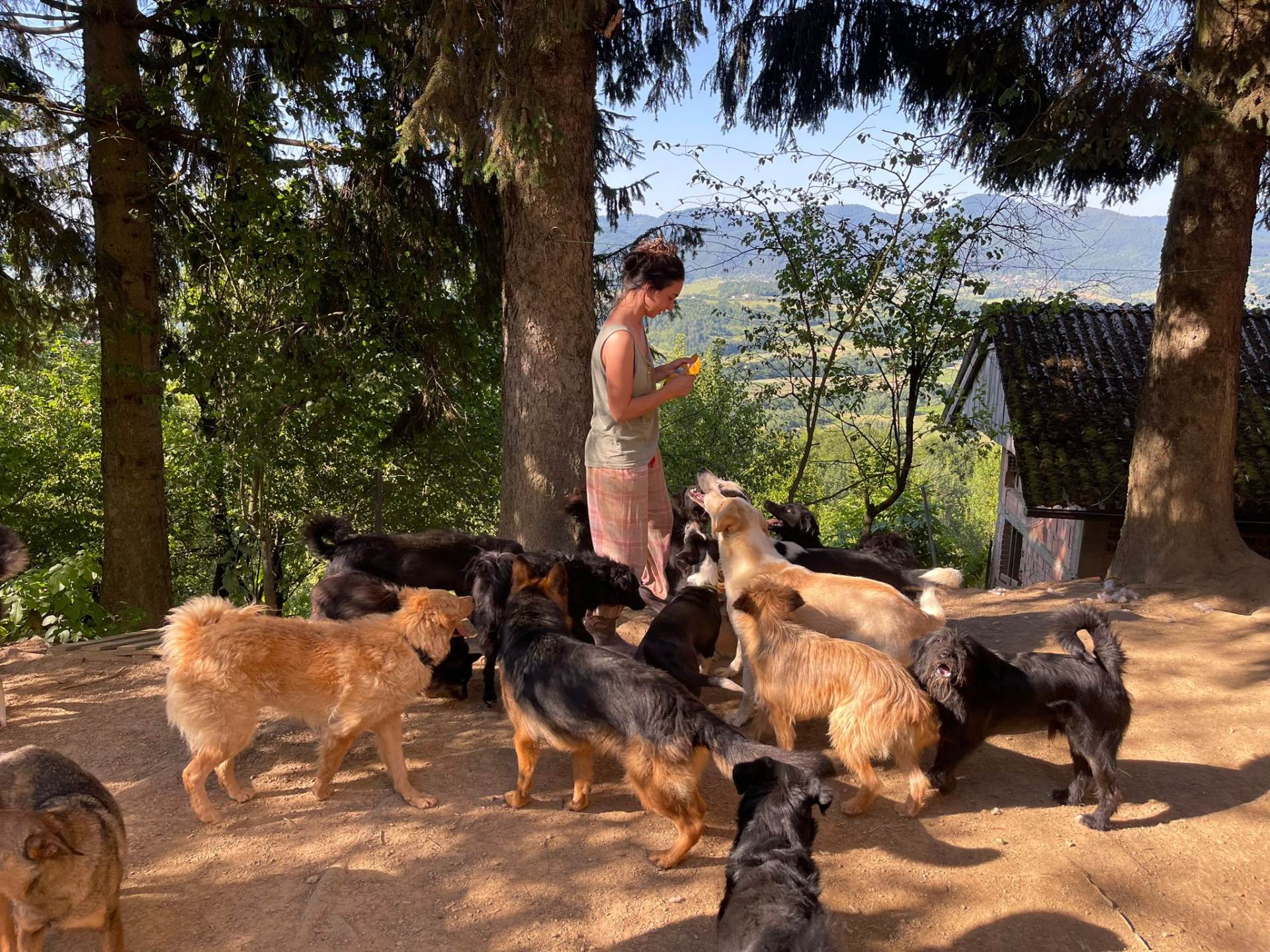  Humanitarni bazar za pse Udruženja Vardi u Banjaluci 