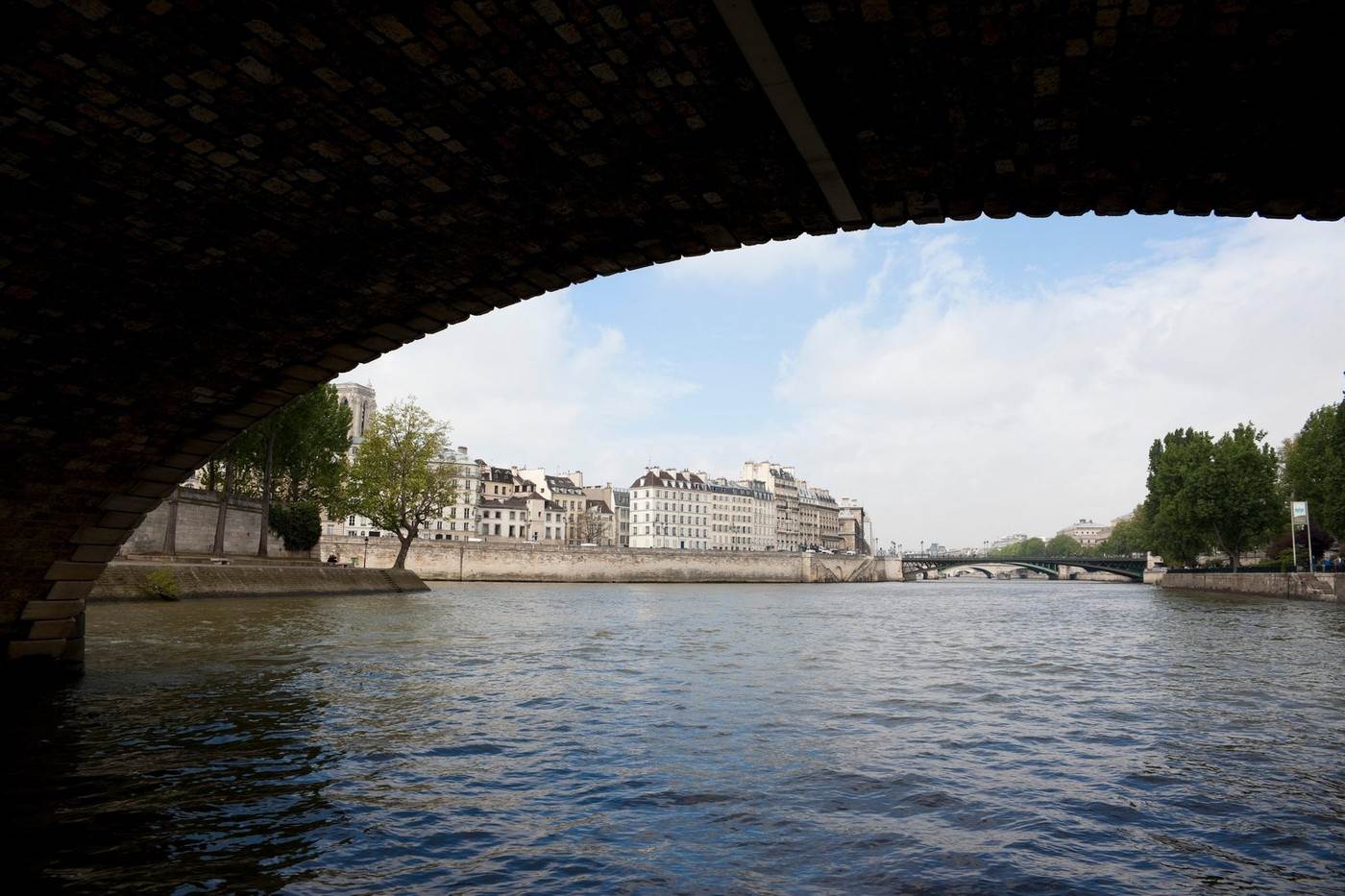  Rijeka Sena u Parizu zagađena pred Olimpijske igre 