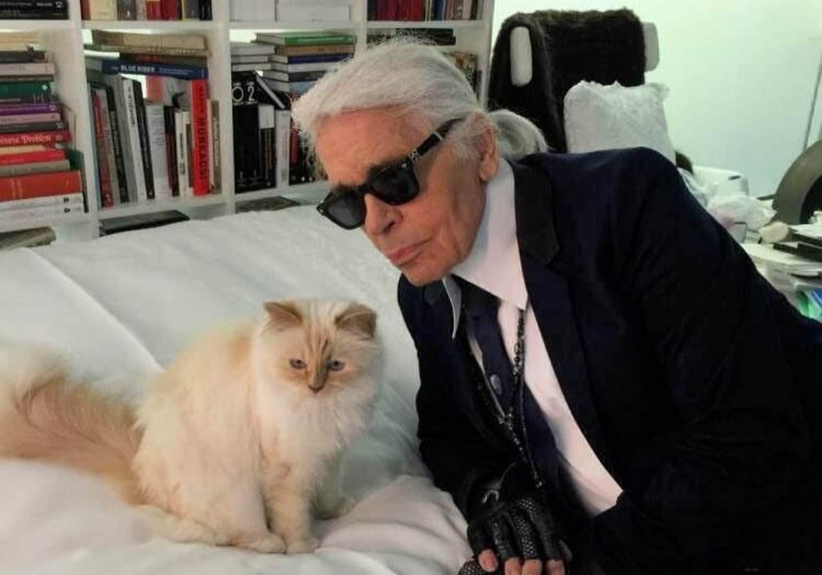 Kako živi Šapet, mačka Karla Lagerfelda 