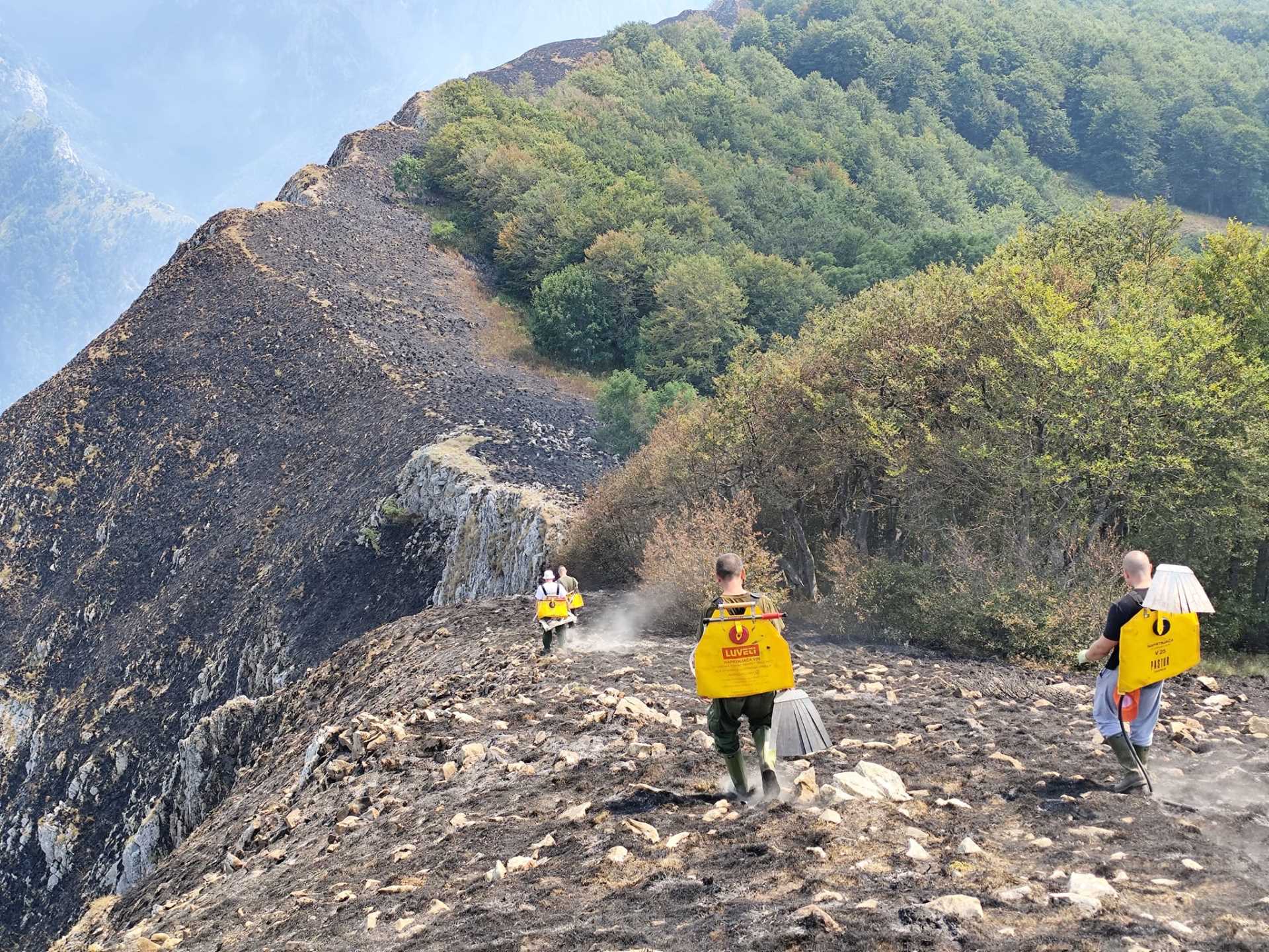  Višković zatražio istragu o krivcima za požare 