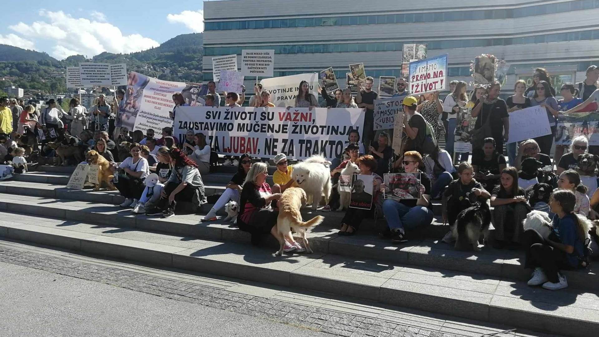  Protesti zbog psa Mede u Sarajevu i Banjaluci 