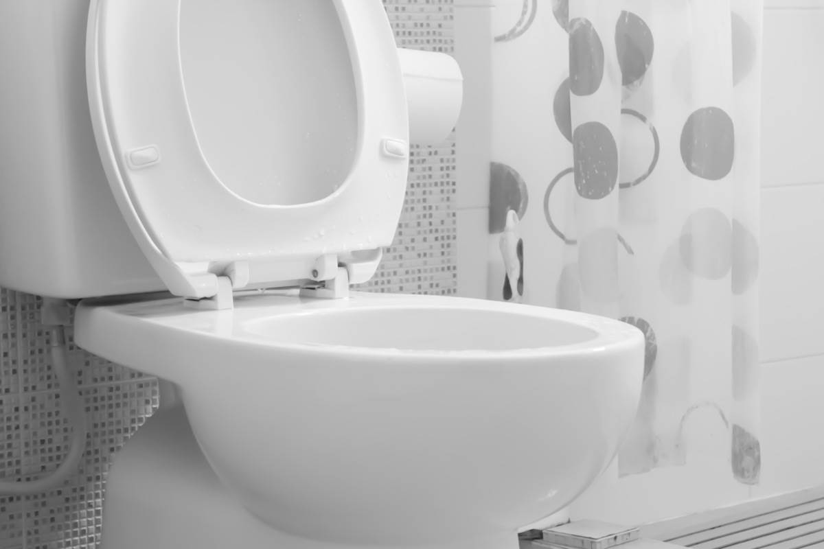 Kako skinuti fleke s wc šolje Kako skinuti fleke s wc šolje