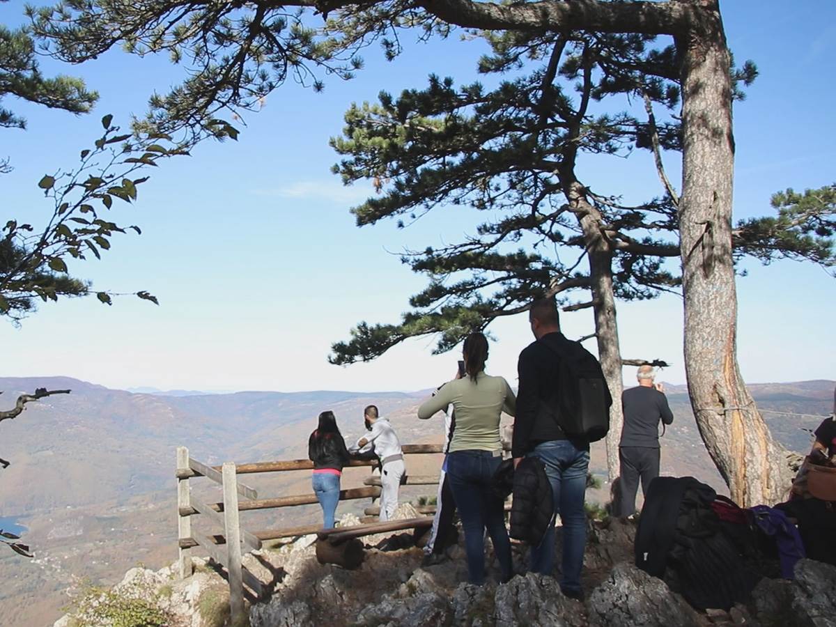  Planina Tara omljena planina Novaka Đokovića 