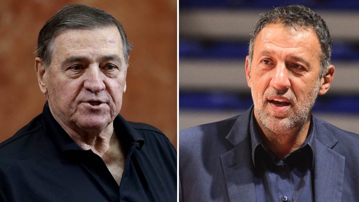  Kako je Vlade Divac usvojio ćerku 