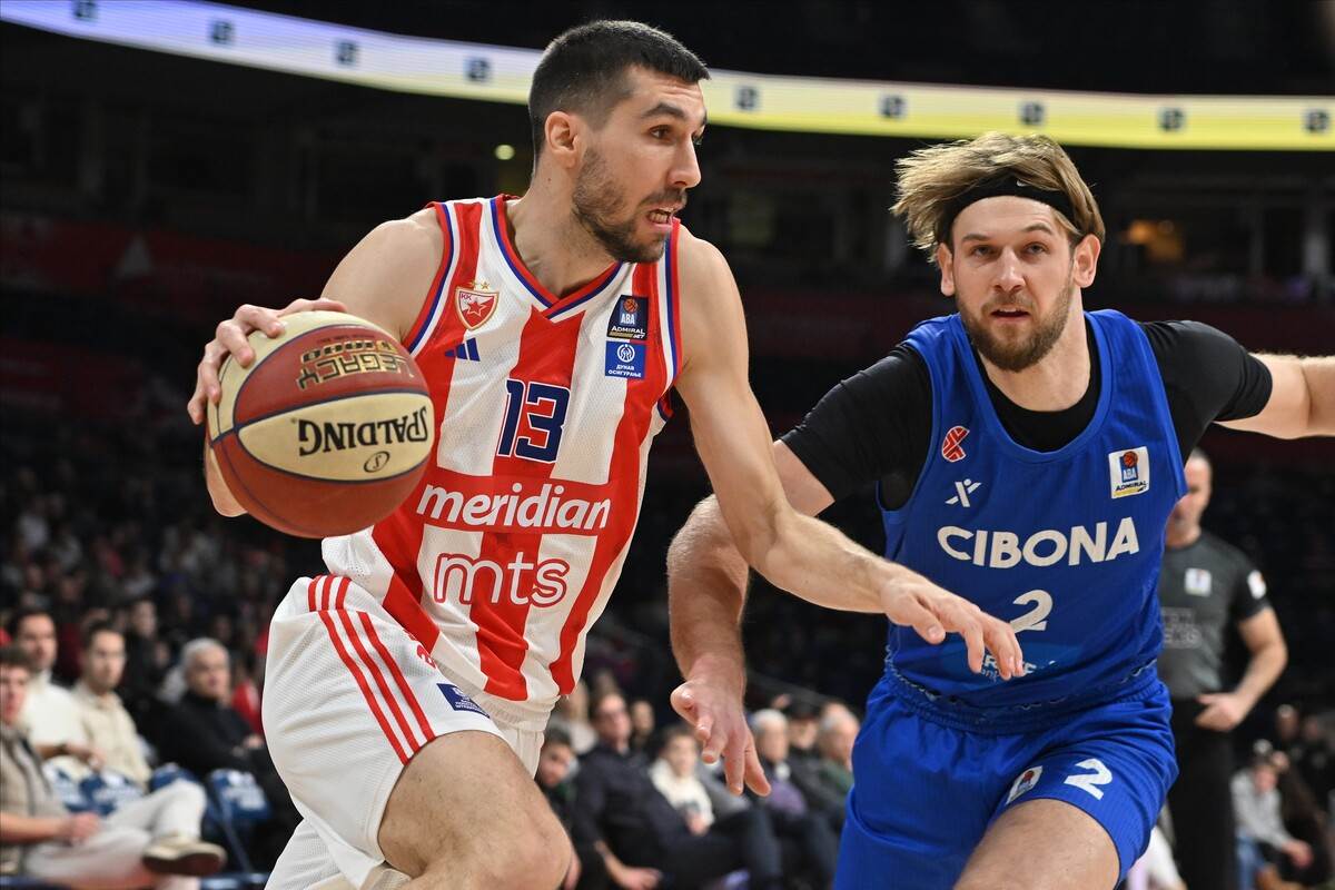  crvena zvezda cibona 