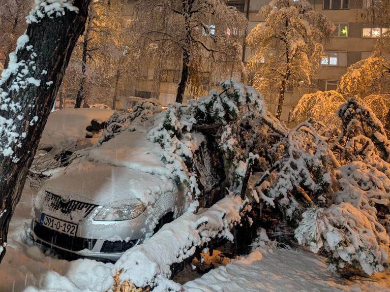  Palo drvo na pješaka na Mejdanu 