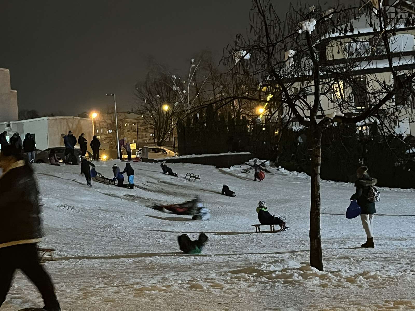  djeca se sankaju u banjalučkom boriku 