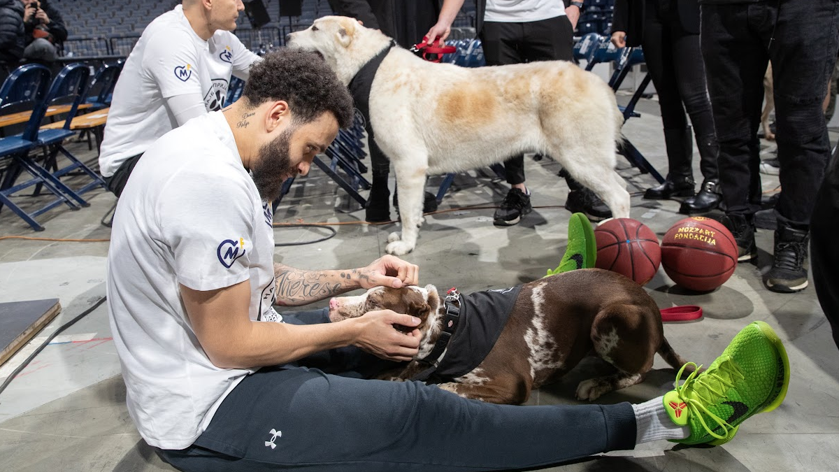  kk partizan sa psima iz azila na treningu u areni 