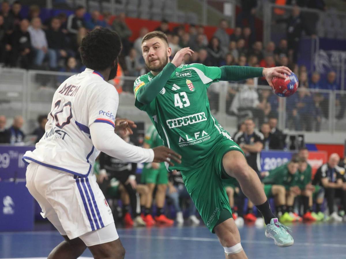 Zoran Ilić i Luka Karabatić idu ka medalji na Svjetskom prvenstvu Zoran Ilić i Luka Karabatić idu ka medalji na Svjetskom prvenstvu