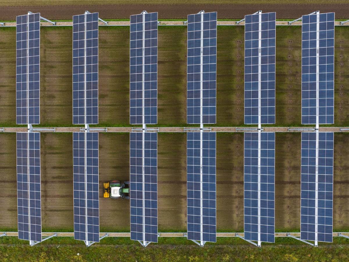  Solarni paneli na poljoprivrednom zemljištu pomažu uzgajanju hrane 