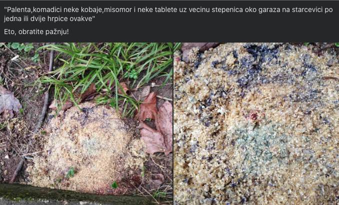 Trovanje pasa u Banjaluci Starčevica Trovanje pasa u Banjaluci Starčevica