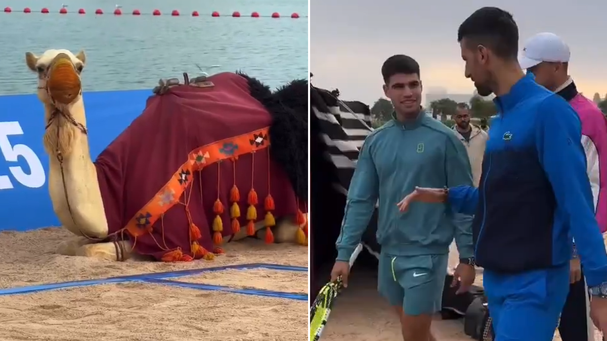 Alkaraz i Đoković igrali tenis na pijesku na kamilama 