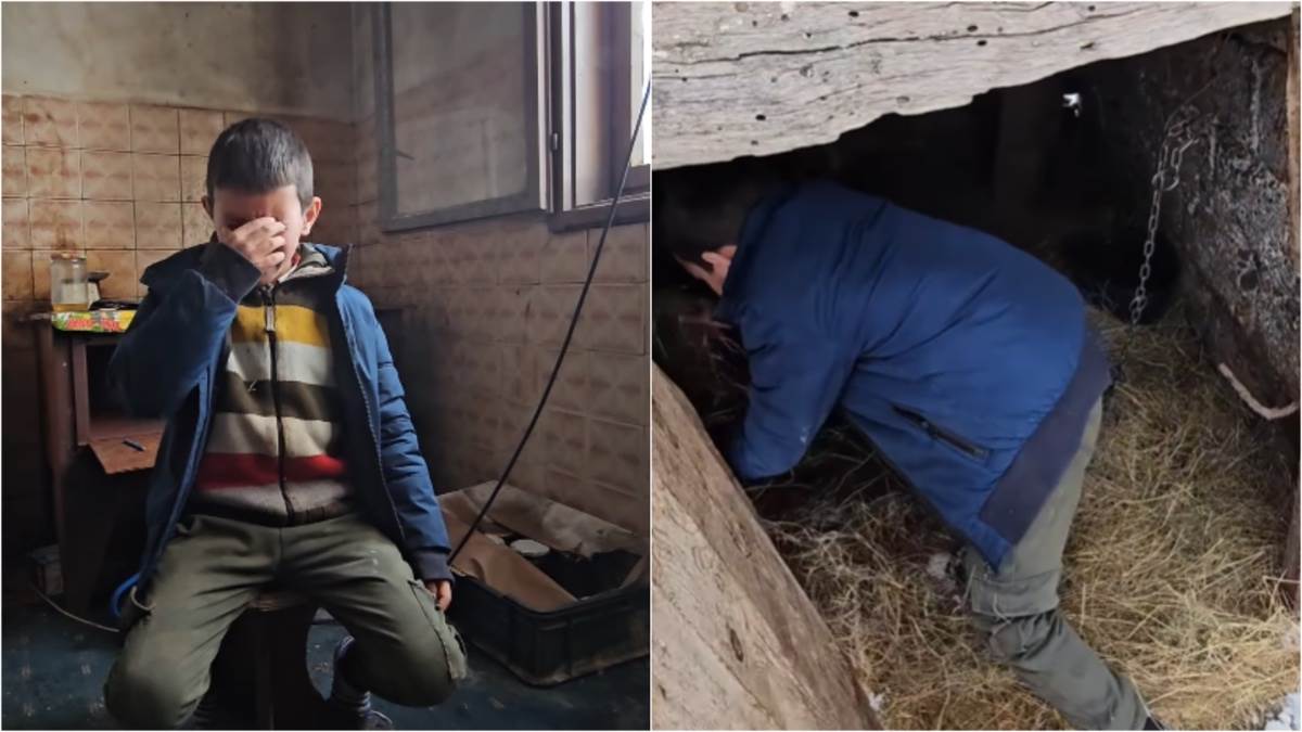 Dječak Stefan dobija kuću i stipendiju Dječak Stefan dobija kuću i stipendiju