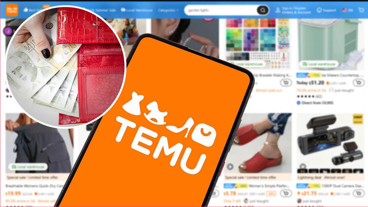  Otkriveni problemi na proizvodima sa Temua 