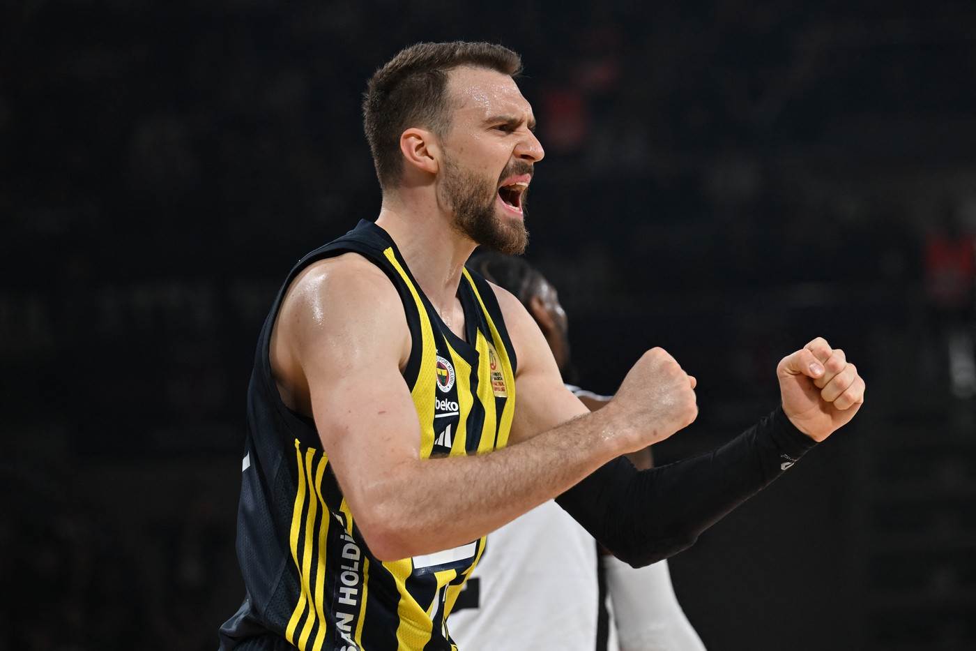 marko gudurić marko gudurić