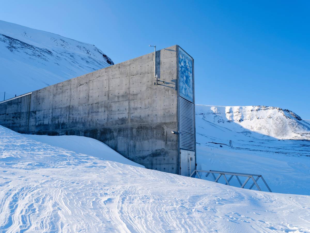  Najveća banka sjemena biljaka nalazi se u Norveškoj 