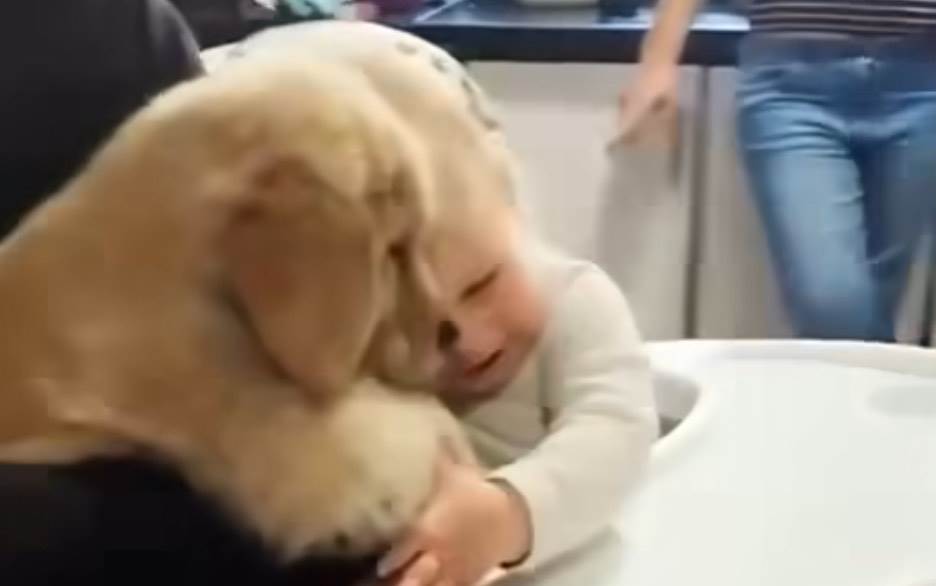 Prvi susret bebe i šteneta je sve što vam je potrebno za lep početak dana Prvi susret bebe i šteneta je sve što vam je potrebno za lep početak dana