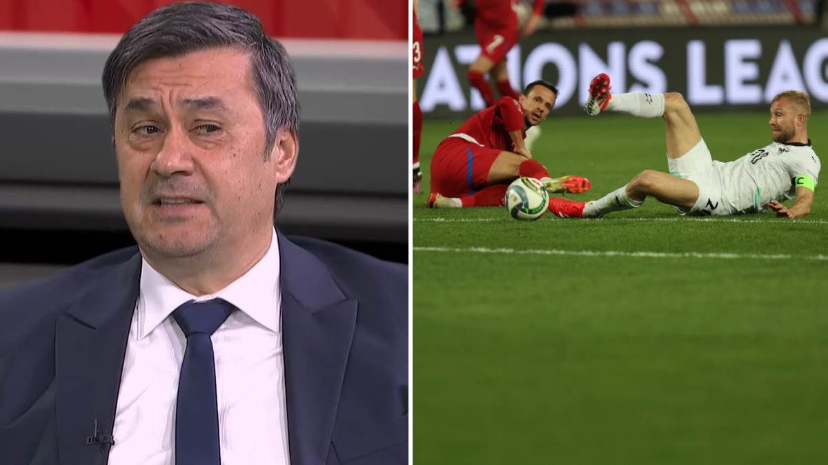Rade Bogdanović razočaran utakmicom Srbija - Austrija Rade Bogdanović razočaran utakmicom Srbija - Austrija