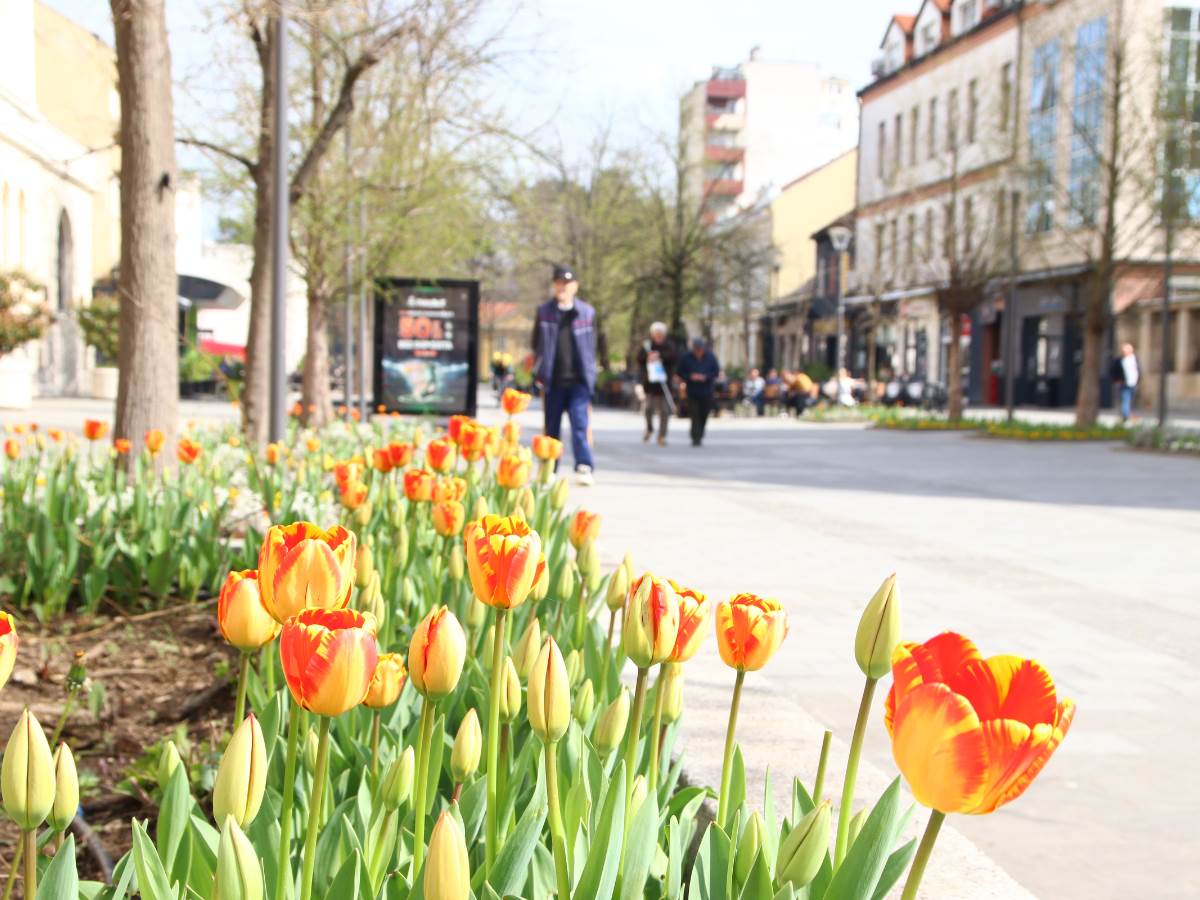  Unutrašnje migracije u Srpskoj statistika 