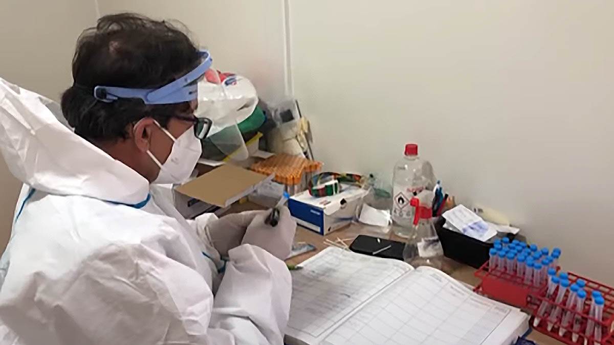 Da li je virus slinavke i šapa opasan za ljude Da li je virus slinavke i šapa opasan za ljude