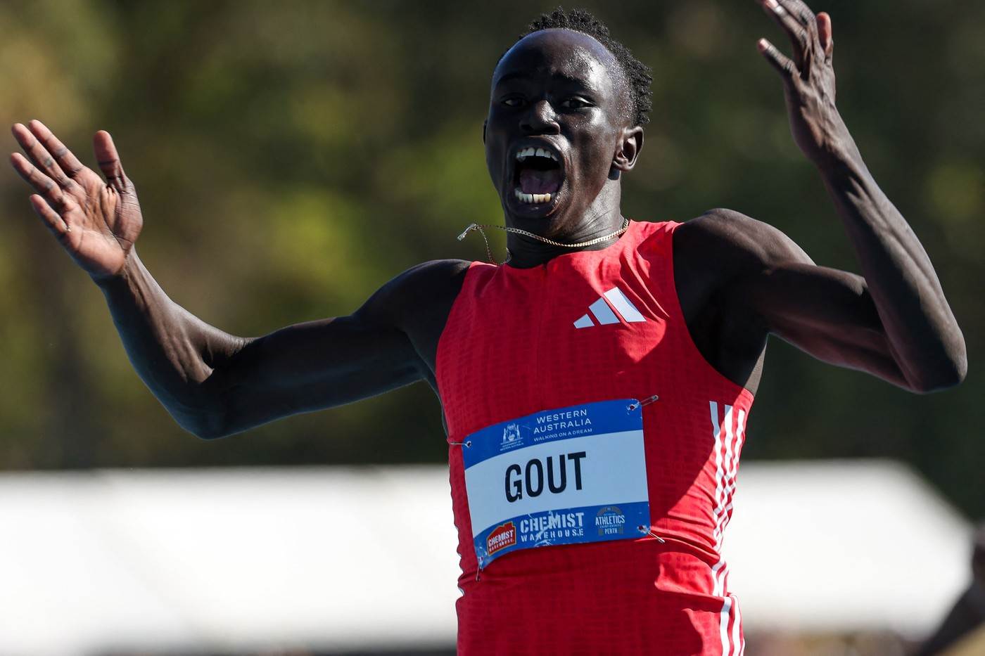  gout gout je novi usein bolt ima 17 godina 