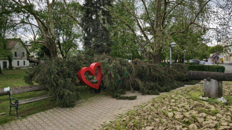  Olujni vjetar rušio stabla u Kozarskoj Dubici 