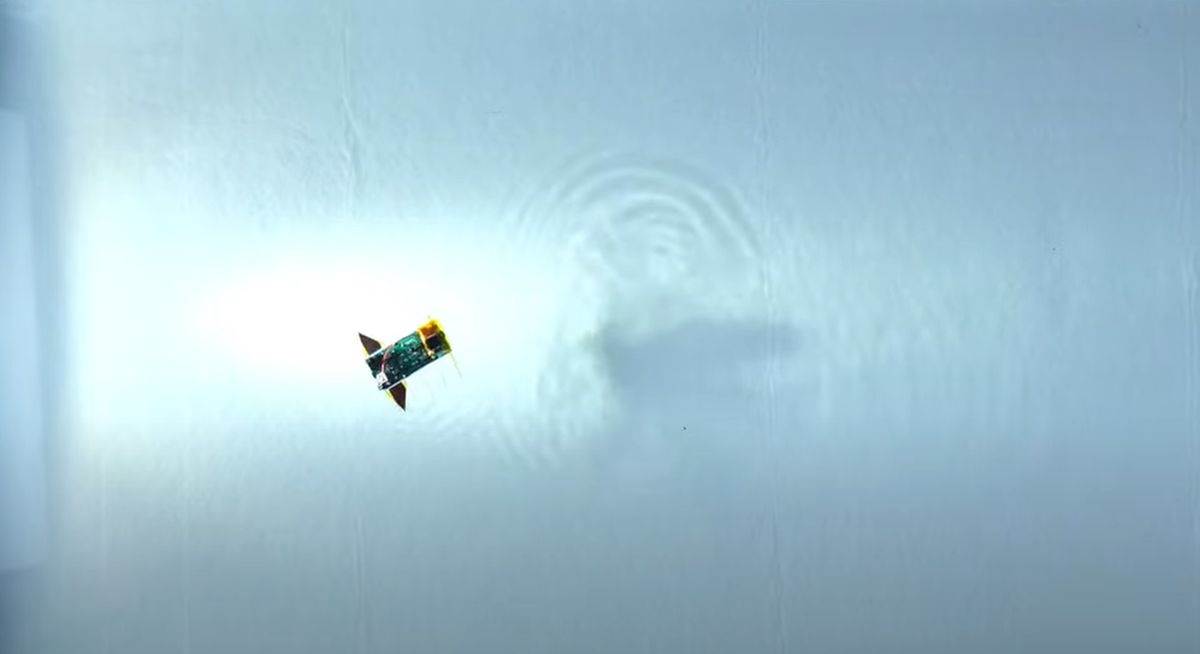  Robot koji može da se koristi za ekološka istraživanja 