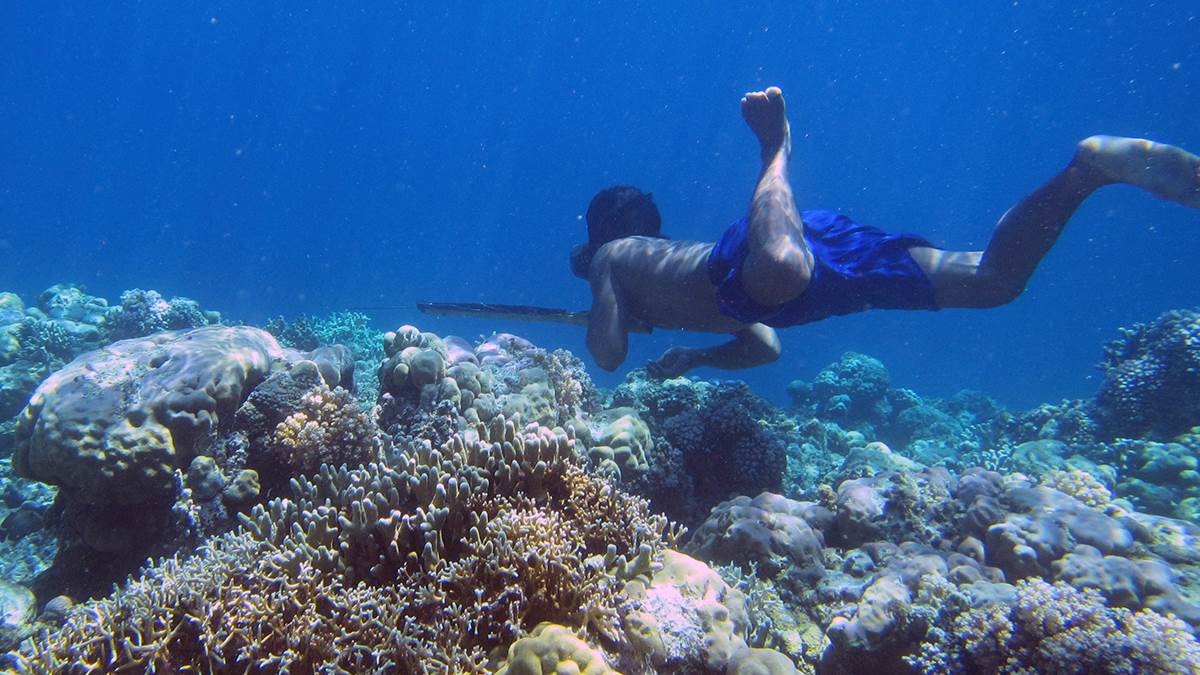 Narod Bajau u Aziji Narod Bajau u Aziji