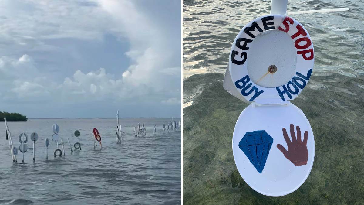 Šta znače daske za wc šolju na plaži Šta znače daske za wc šolju na plaži