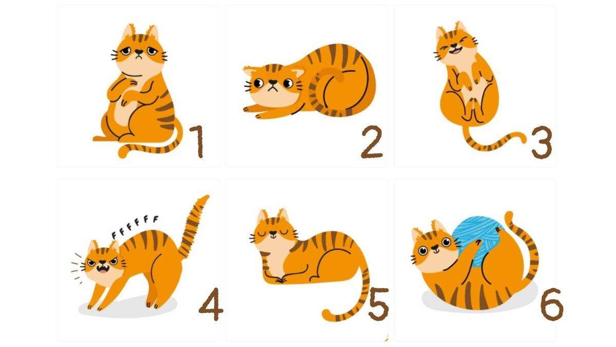  test ličnosti šta ljudi misle o vama 