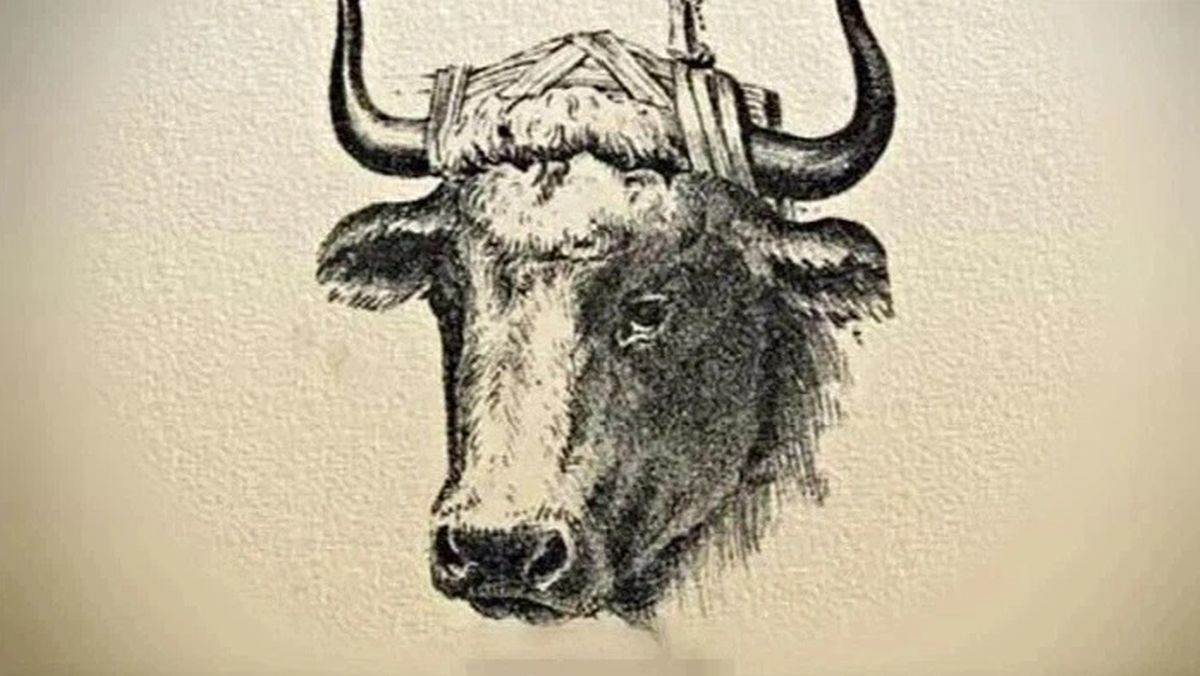  optička iluzija test inteligencije 