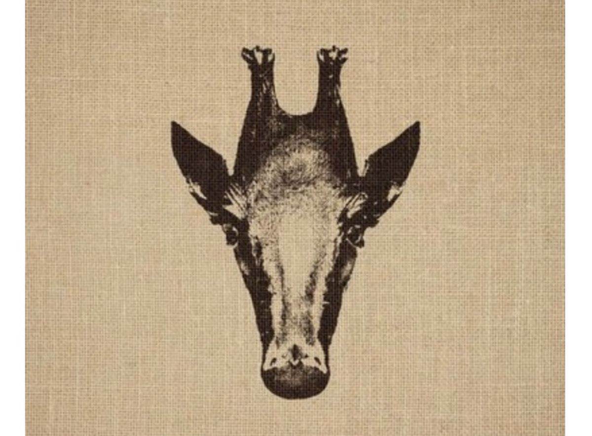  Test da li vam mozak dobro radi 