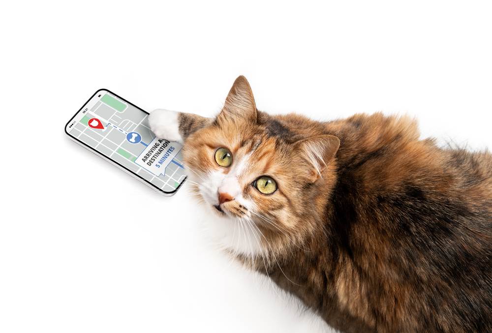 Pet Tech u Evropi: Pametne ogrlice, kamere i aplikacije za kućne ljubimce Pet Tech u Evropi: Pametne ogrlice, kamere i aplikacije za kućne ljubimce