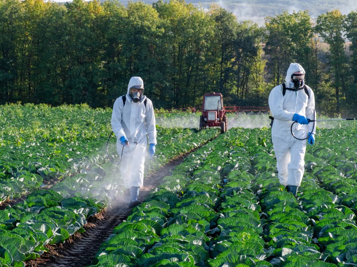 Pad prodaje pesticida u EU Pad prodaje pesticida u EU