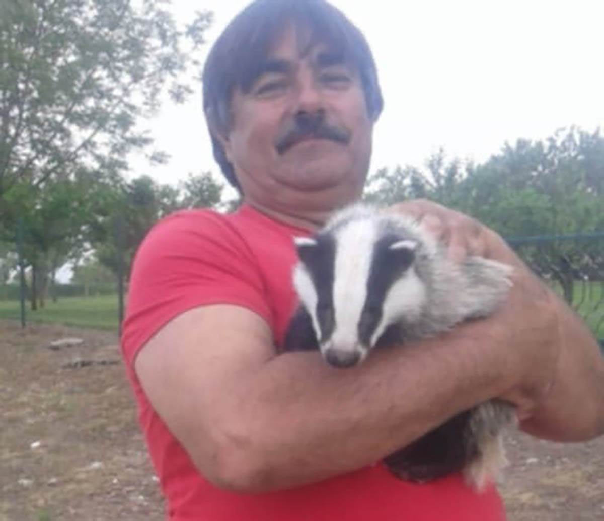  Jazavac kao kućni ljubimac 