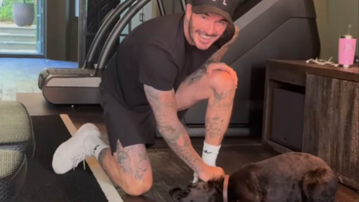  Dejvid Bekam dresira psa 