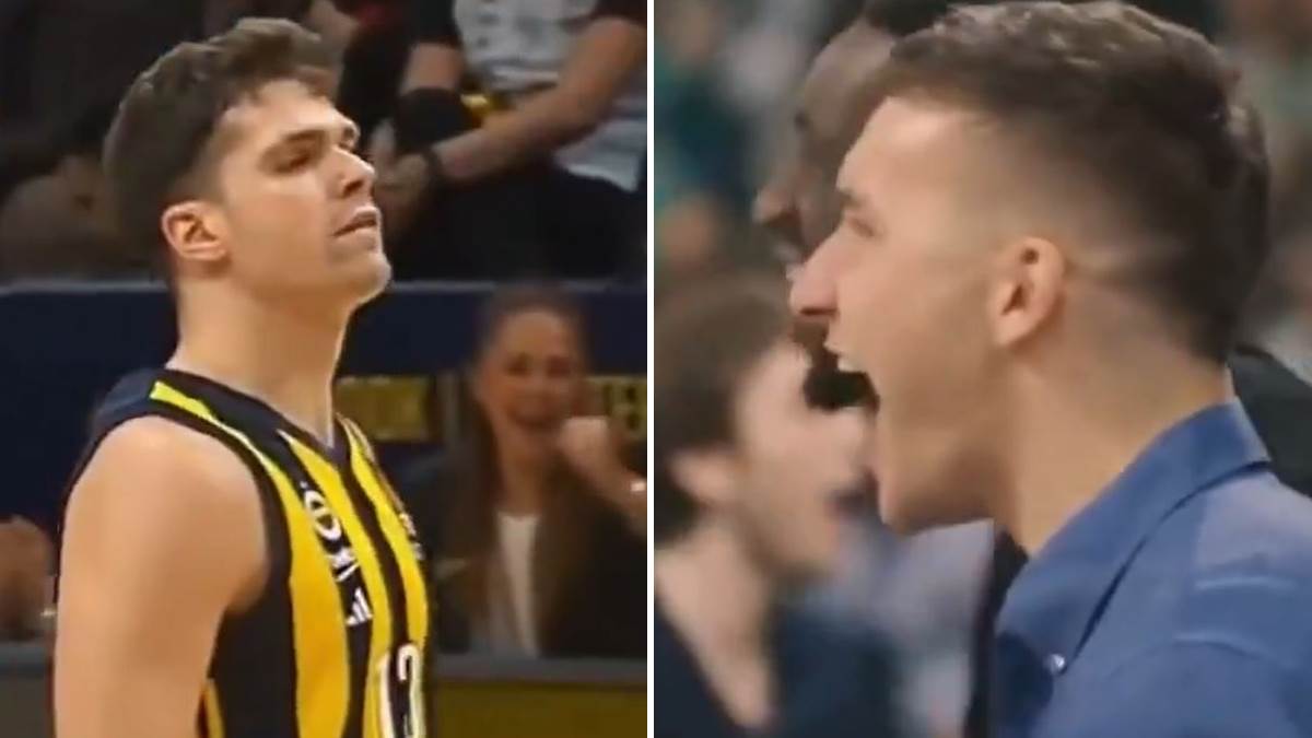 ko je tarik biberovic nasljednik bogdana bogdanovica ko je tarik biberovic nasljednik bogdana bogdanovica