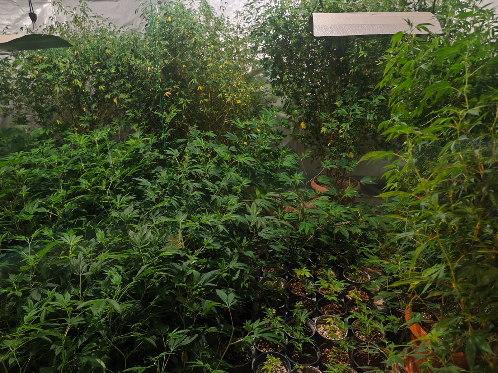  Uhapšena dva muškarca zbog droge na Ilidži 