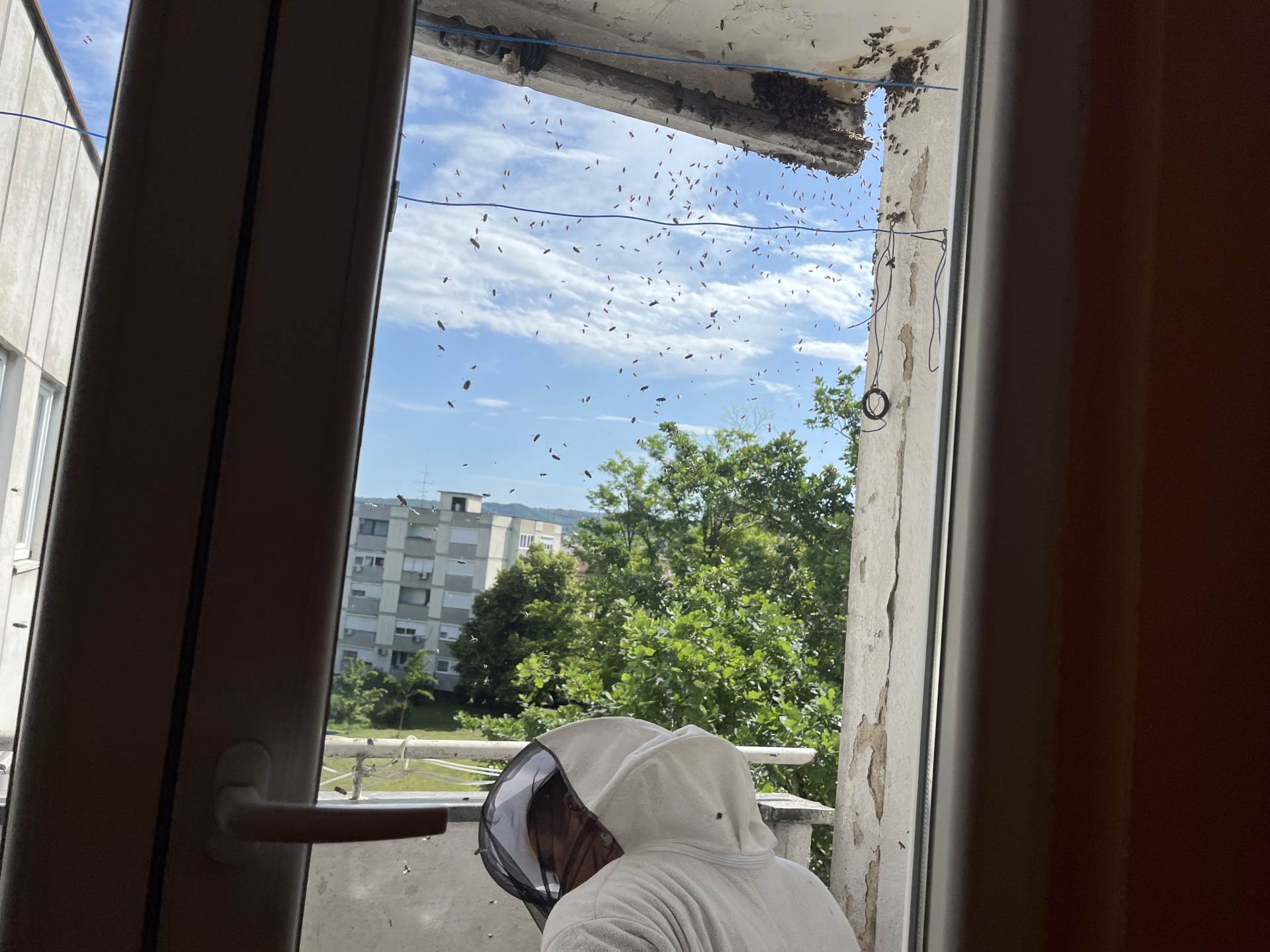  najezda pčela u banjaluci 