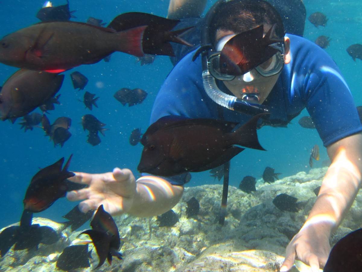  Šta ne ulazi u putno osiguranje 