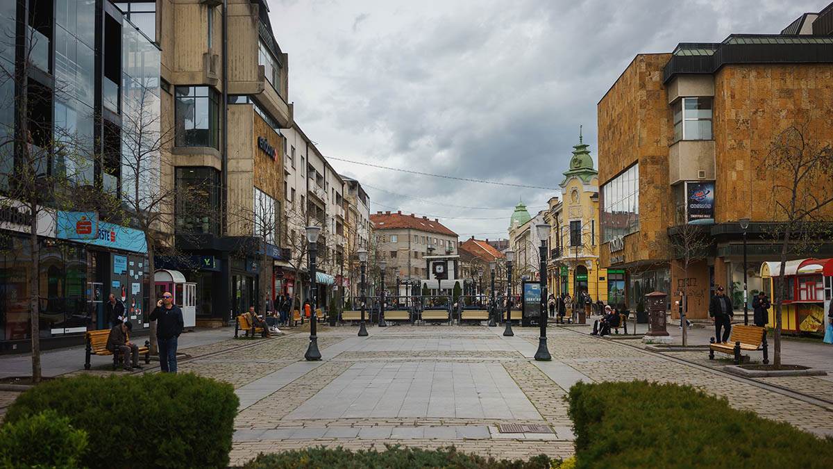  Zmija ujela čovjeka u sred Kragujevca 
