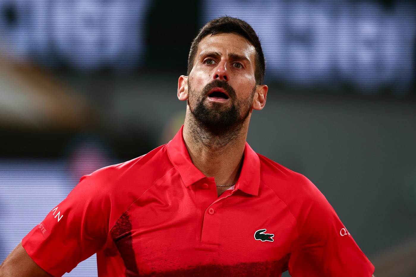  Novak Đoković Janik Siner uživo prenos livestream Rolan Garos 